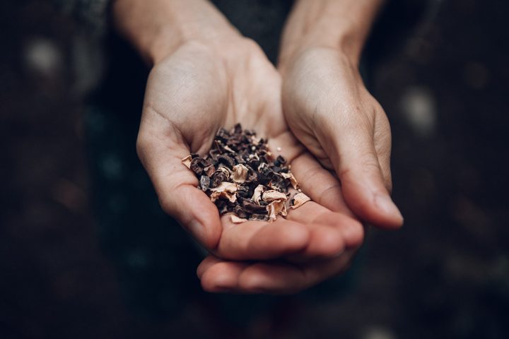 La Fête des Possibles – Rituel de gratitude pour la Terre_Taninges