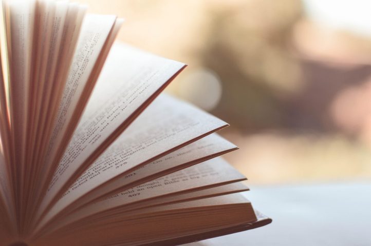 La Fête des Possibles : Arpentage du livre d’Olivier Hamant « Antidote au culte de la performance »_Taninges