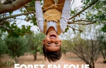 Forêt en folie
