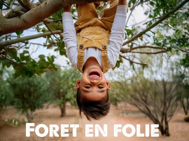 Forêt en Folie_Morillon