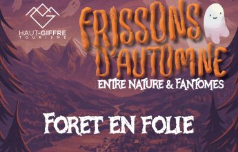 Forêt en Folie