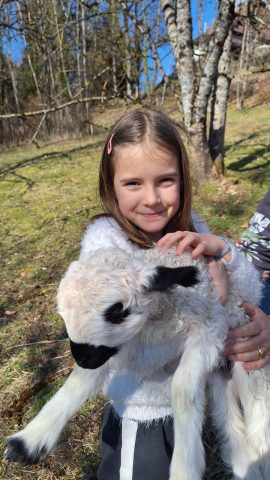 Immersion nature au cœur du troupeau_Mieussy