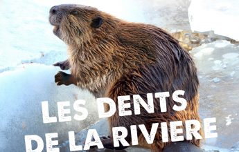 Les dents de la rivière