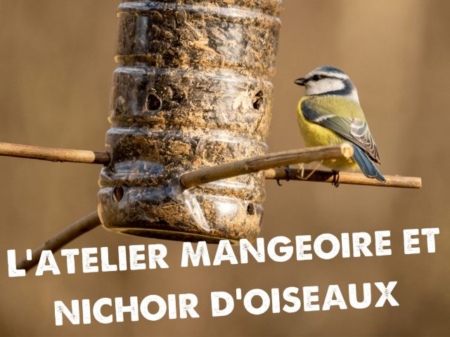 L’Atelier Mangeoire à oiseaux_Morillon