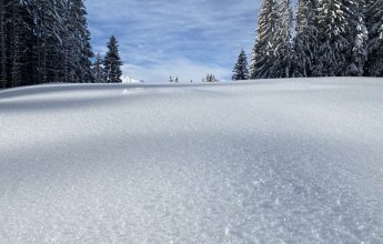 Sortie pédestre histoire des alpages
