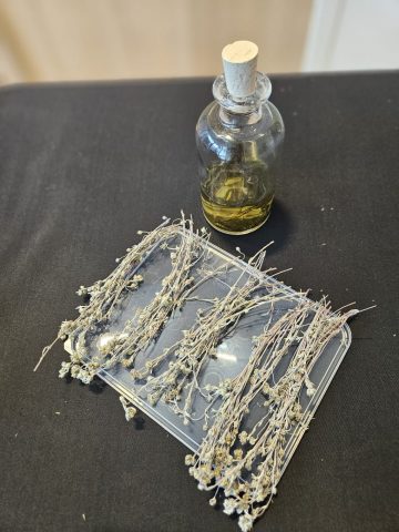 Atelier de fabrication de Génépi