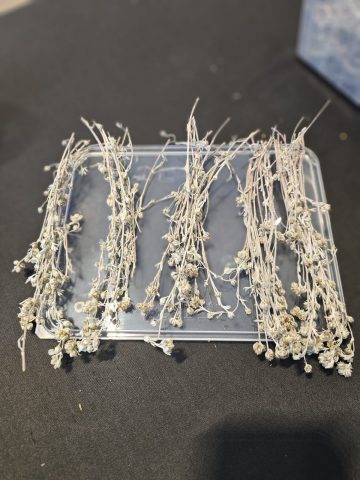 Atelier de fabrication de Génépi