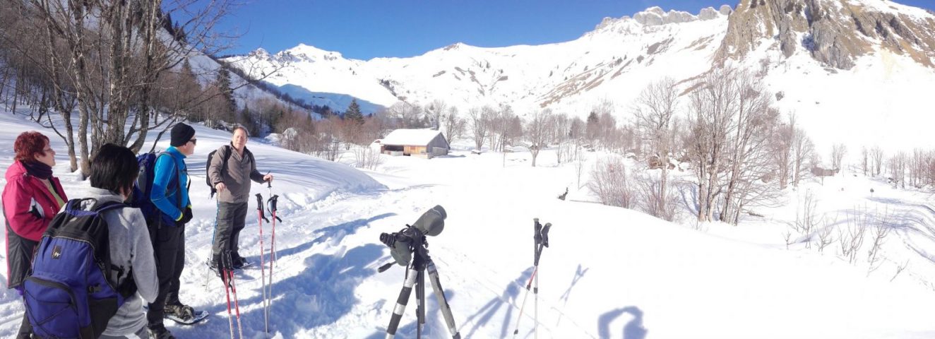 Raquettes et pique-nique avec les chamois_Taninges