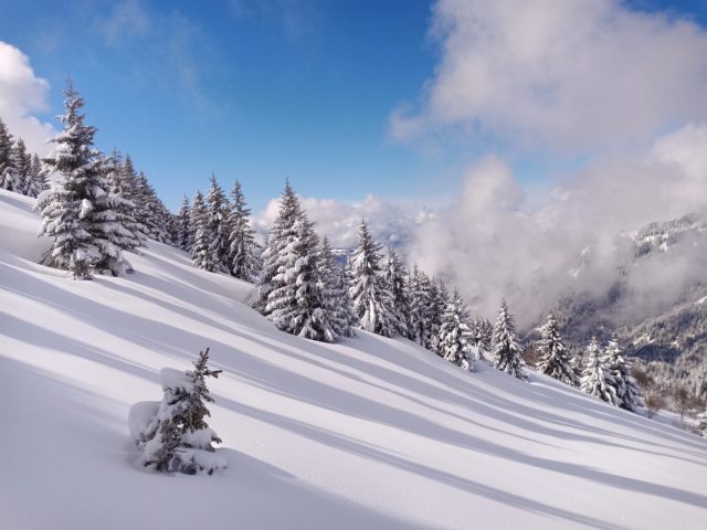 Randonnée accompagnée en raquettes : panorama et histoires de montagne_Sixt-Fer-à-Cheval