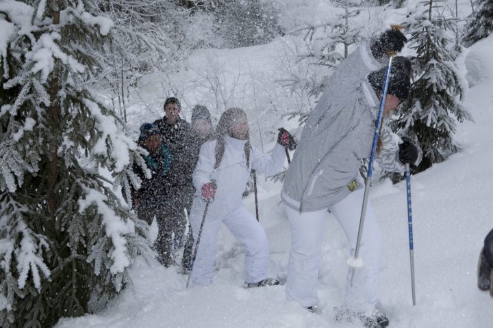Randonnée accompagnée en raquettes : Observation de la faune en milieu forestier_Taninges
