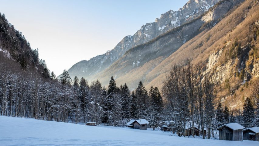 Randonnée en raquettes : Observation bouquetins et réserve naturelle_Sixt-Fer-à-Cheval
