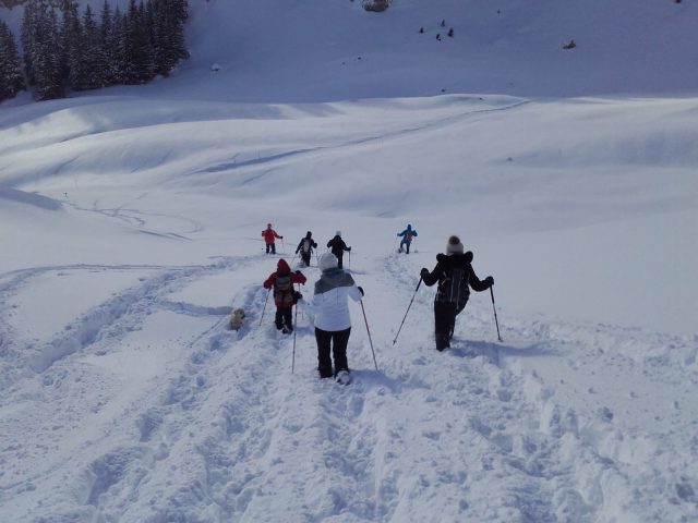 Randonnée accompagnée en raquettes : la vie en montagne_Sixt-Fer-à-Cheval