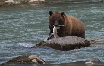 Exposition photo « Voyage aux 4 coins du monde »