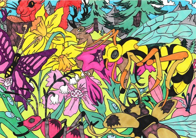 Exposition de dessins de Rémi Nadau_Morillon