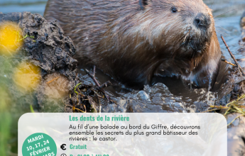 Les dents de la rivière