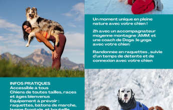 Rando Raquettes & Doga