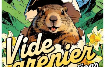 Vide grenier & collections