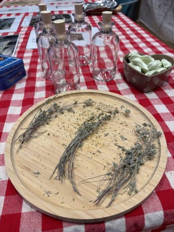 Atelier fabrication de génépi et découverte culturelle_Taninges