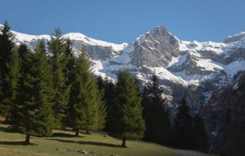 Balade découverte du Cirque du Fer-à-Cheval au printemps