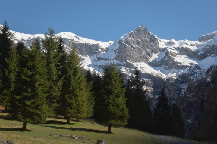 Balade découverte du Cirque du Fer-à-Cheval au printemps_Sixt-Fer-à-Cheval