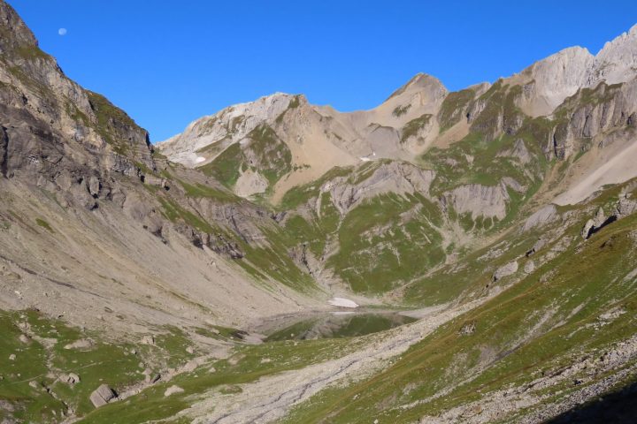la Vogealle