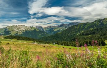 Itinéraire pédestre : balade en montagne, par télécabine, à Samoëns 1600