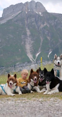 Atelier avec chiens de traineau_Morillon