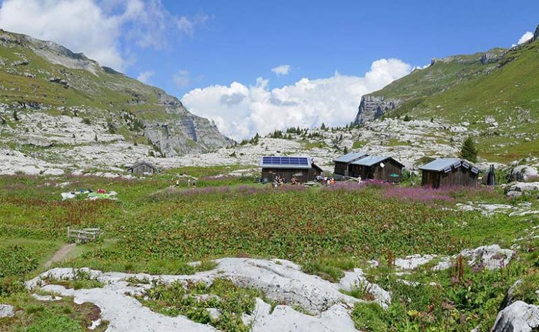 Temps d&rsquo;échange et d&rsquo;observation de la nature_Sixt-Fer-à-Cheval