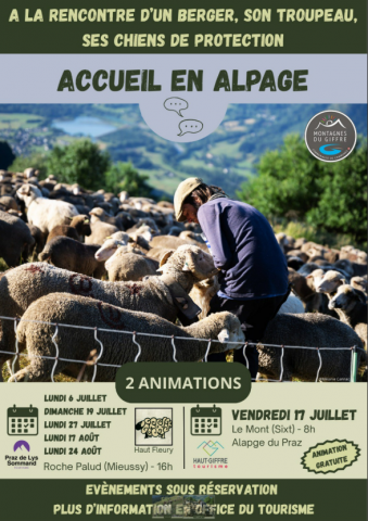 Accueil en alpage – A la rencontre d&rsquo;un troupeau et de ses patous_Sixt-Fer-à-Cheval