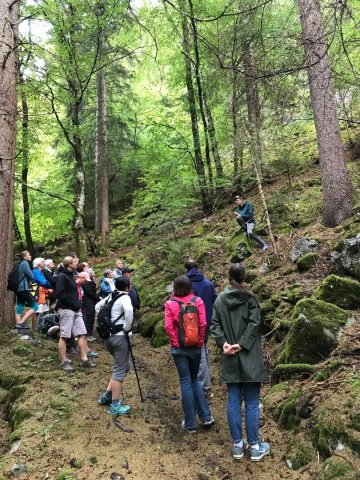 Fête des possibles : Balad’arbre_Verchaix