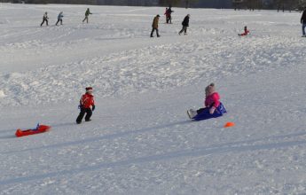 Pistes de luge