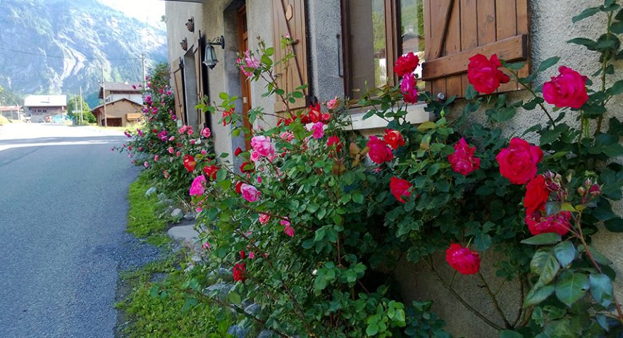 Gite Auberge de Salvagny