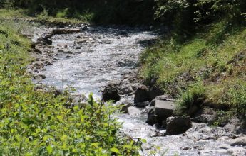 Sentier de Lornaz n°2