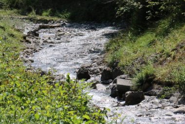 Itinéraire pédestre : Sentier de Lornaz