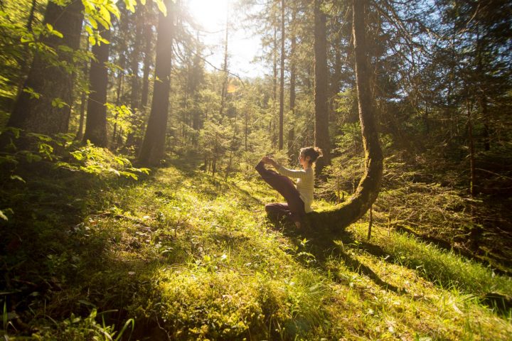 Hatha Yoga avec Orélia