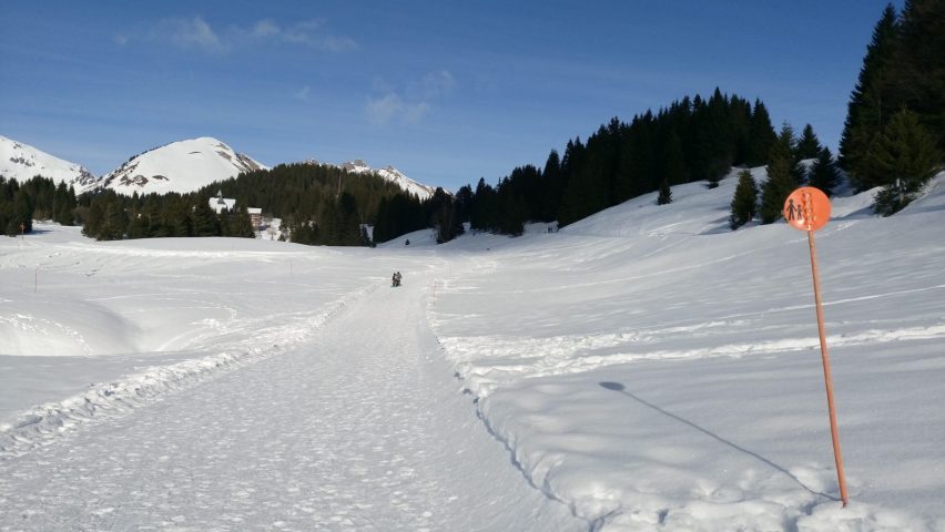 8666749-diaporama