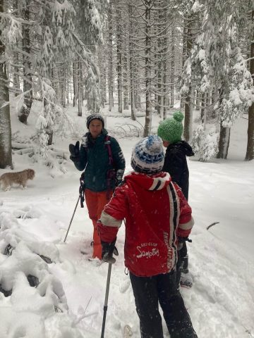 la forêt ennégée