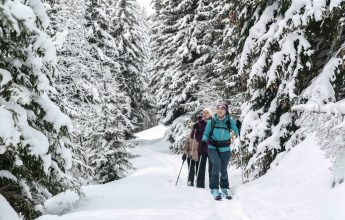 Itinéraire de ski de randonnée de soirée – Combe biollaire