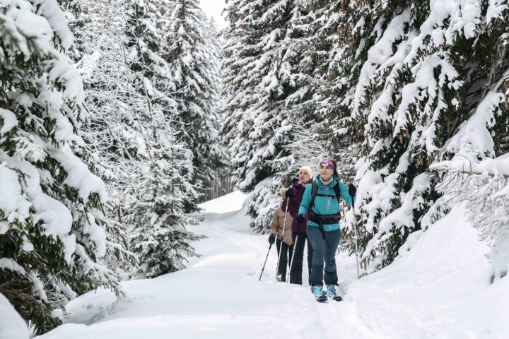 Activité hiver ski de rando