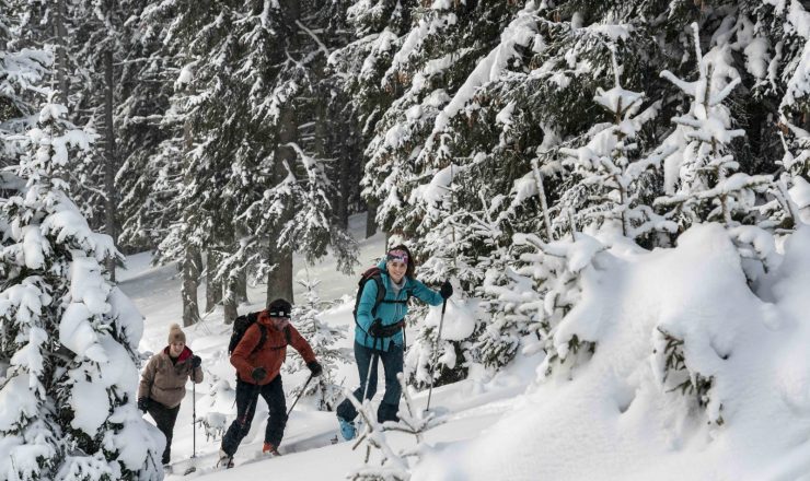 QUE FAIRE À MORILLON ET SIXT EN HIVER SANS SKIER ?