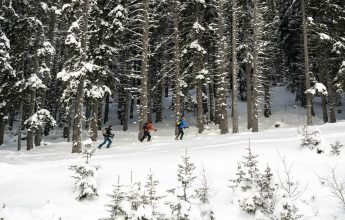 Itinéraire de ski de randonnée en journée – La Croix des 7 Frères