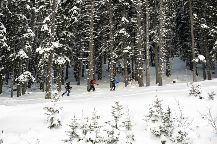 Activité hiver ski de rando