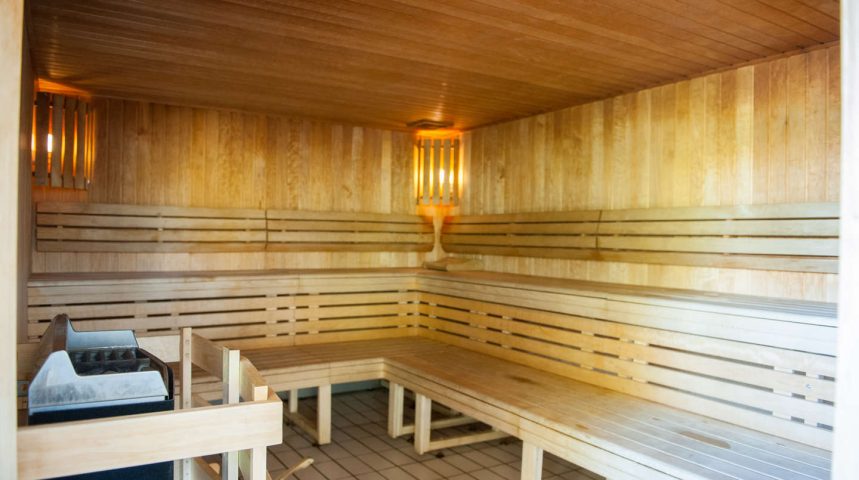 Seynod Annecy piscine Sauna public