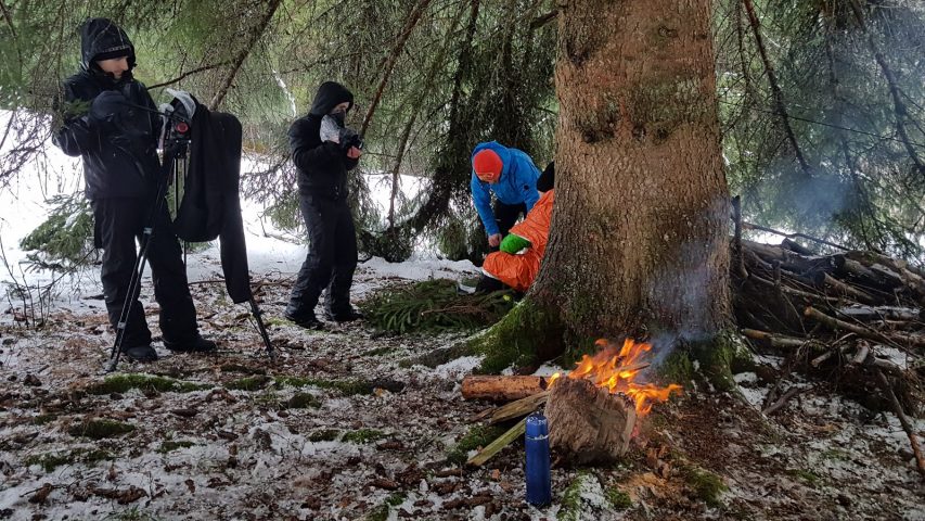 Survivalisme